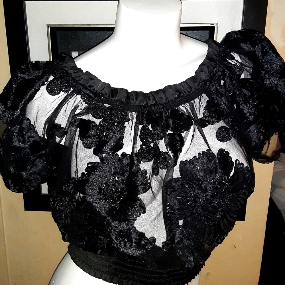 Sheer and satin applique top